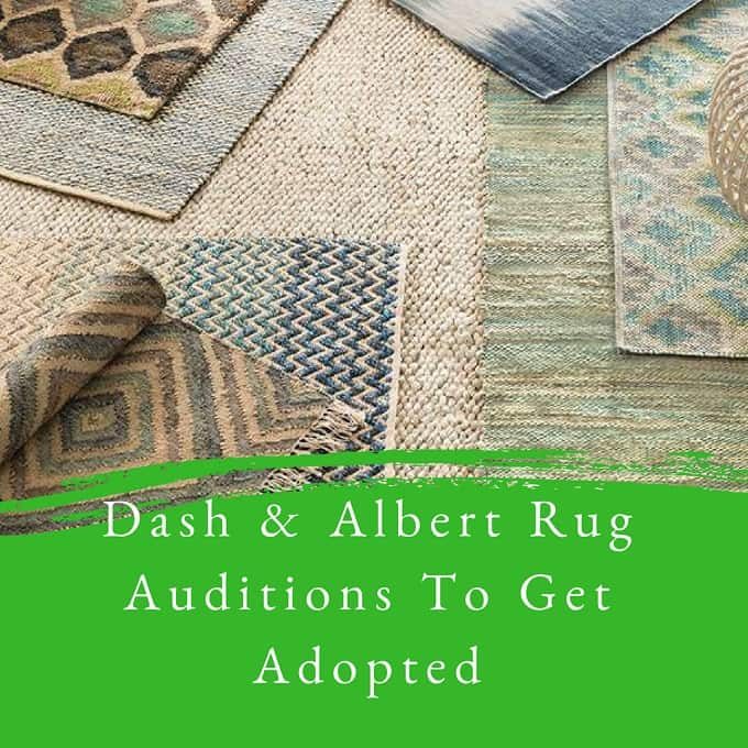 Dash and Albert Rug Auditions To Get Adopted