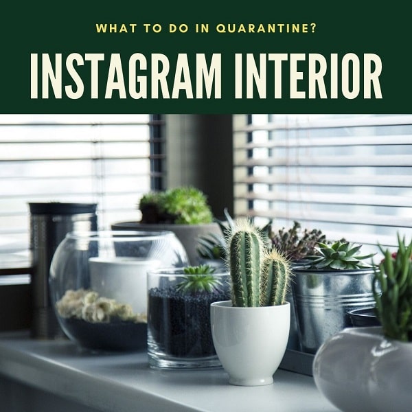 What To Do In Quarantine? Make Instagram Interior
